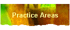 Practice Areas